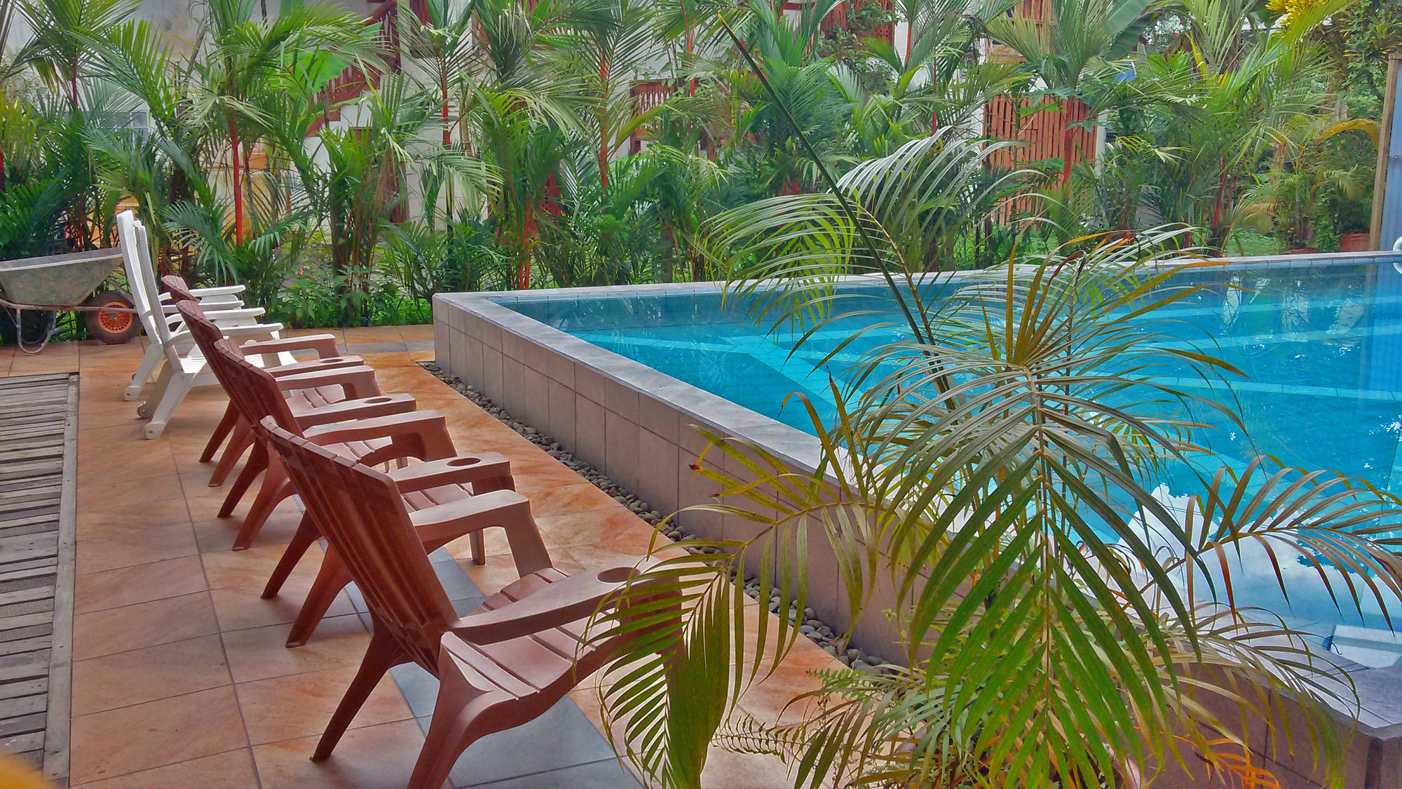Lizard King Resort Puerto Viejo de Talamanca Exterior foto